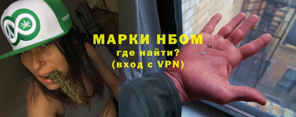 индика Алзамай