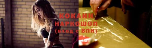 индика Алзамай