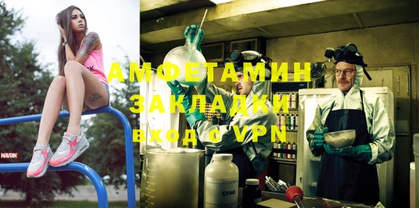 индика Алзамай