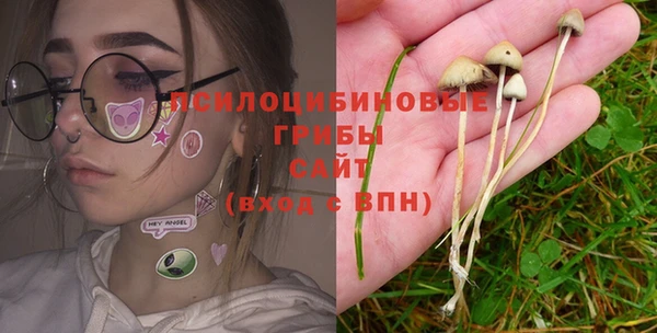 спайс Алексеевка