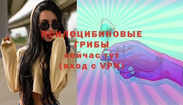 спайс Алексеевка