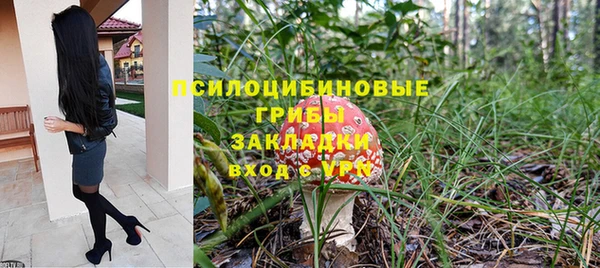 индика Алзамай