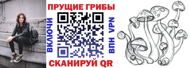 Галлюциногенные грибы Psilocybe Байкальск
